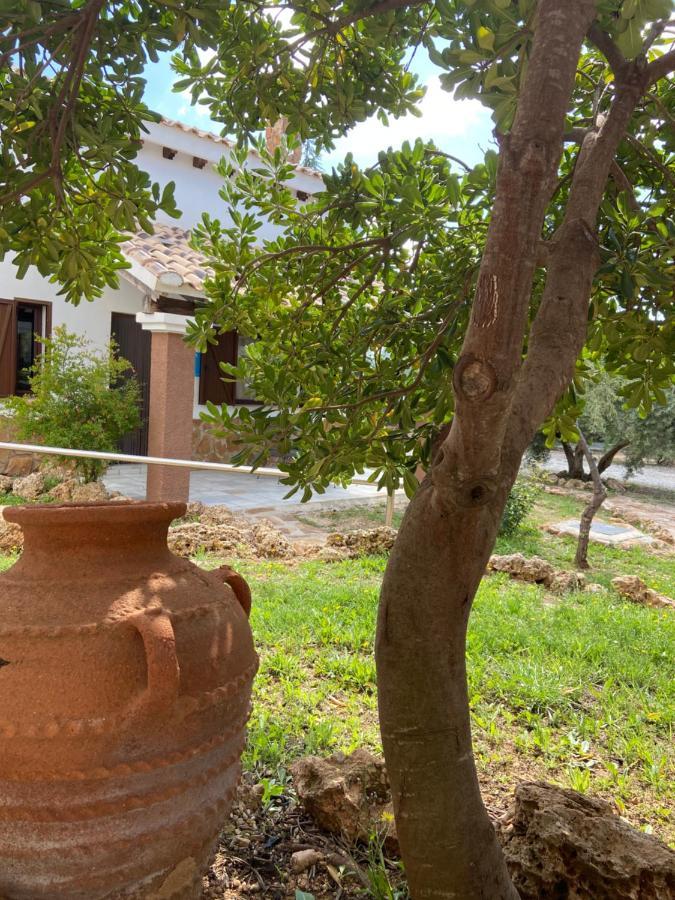 Complejo Rural Ibipozo ξενώνας Pozo Alcón Εξωτερικό φωτογραφία
