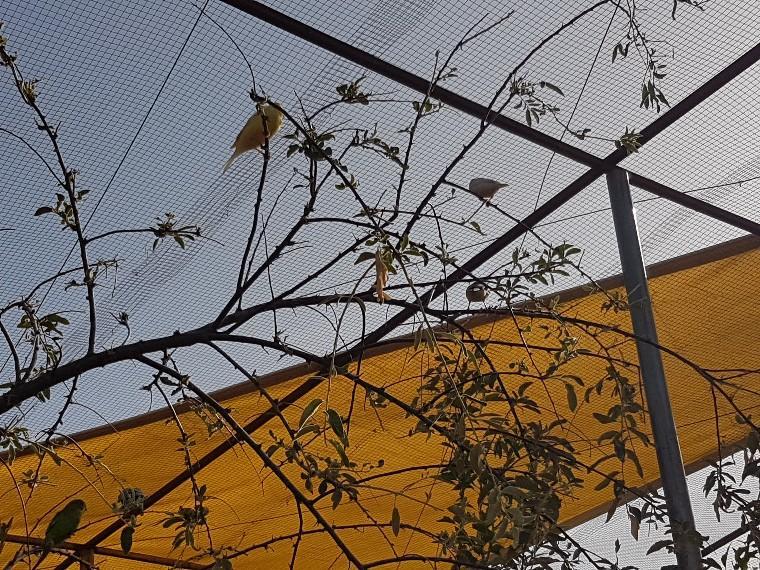 Complejo Rural Ibipozo ξενώνας Pozo Alcón Εξωτερικό φωτογραφία