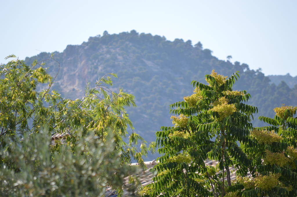 Complejo Rural Ibipozo ξενώνας Pozo Alcón Εξωτερικό φωτογραφία